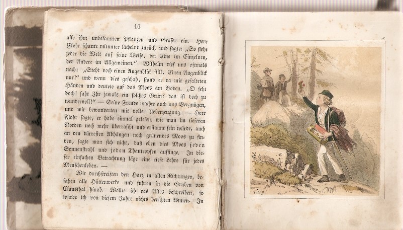 Stein Anna - Tagebuch dreier Kinder. Zweiter Teil der "52 Sonntage" - Obrázek 5