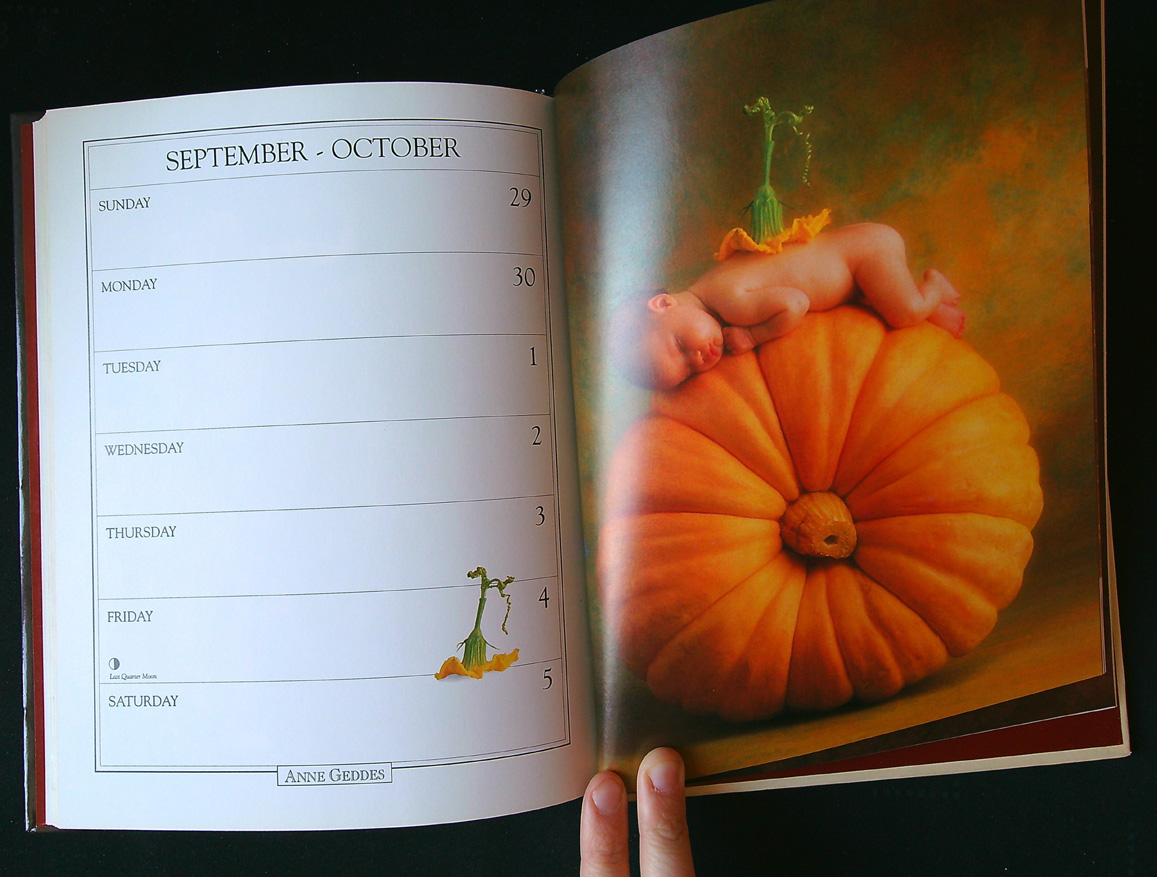 Geddes Anne: 1996 datebook, a collection of images - Obrázek 2