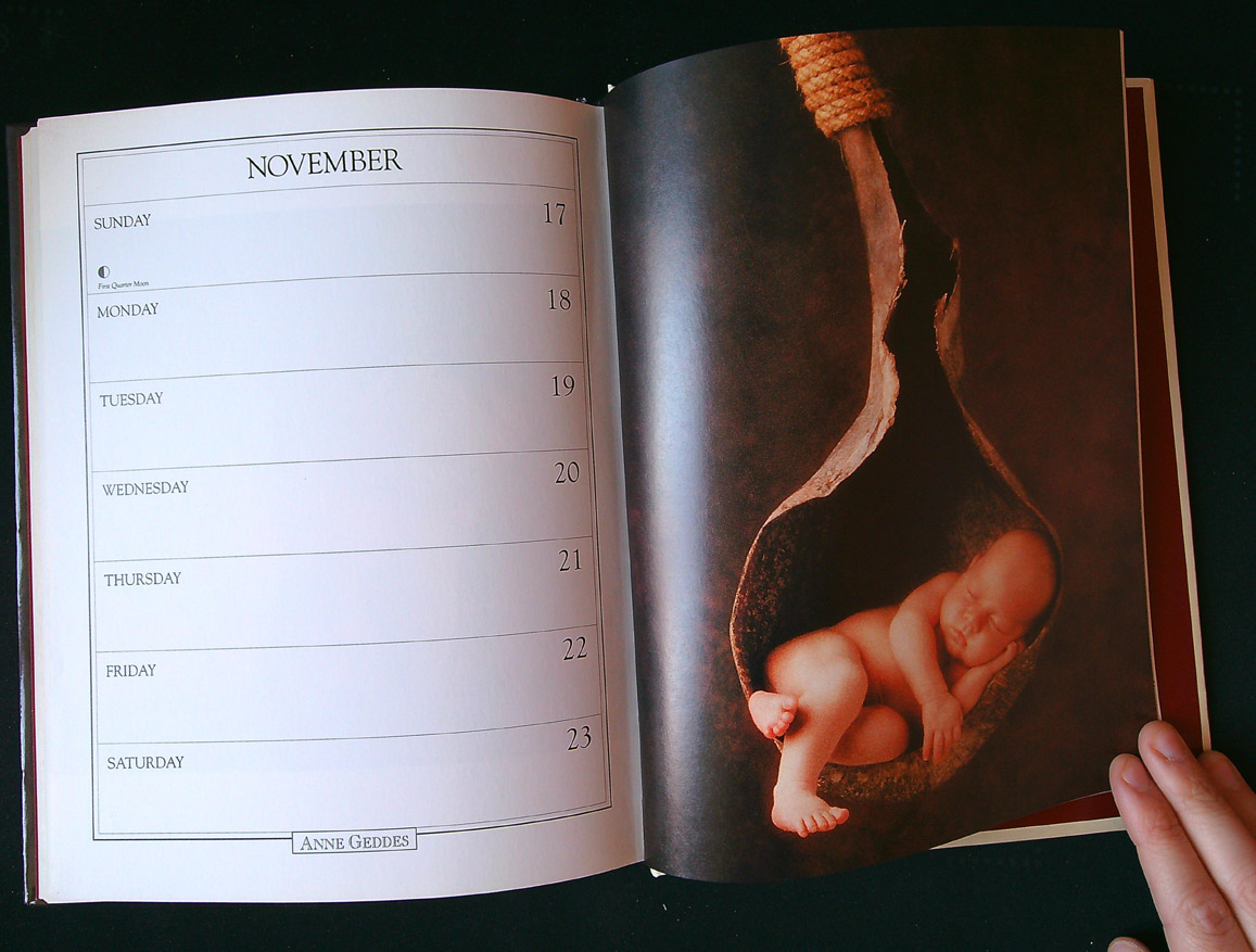 Geddes Anne: 1996 datebook, a collection of images - Obrázek 3