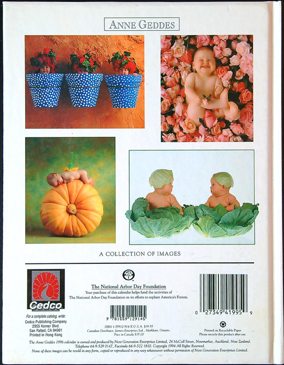 Geddes Anne: 1996 datebook, a collection of images - Obrázek 4