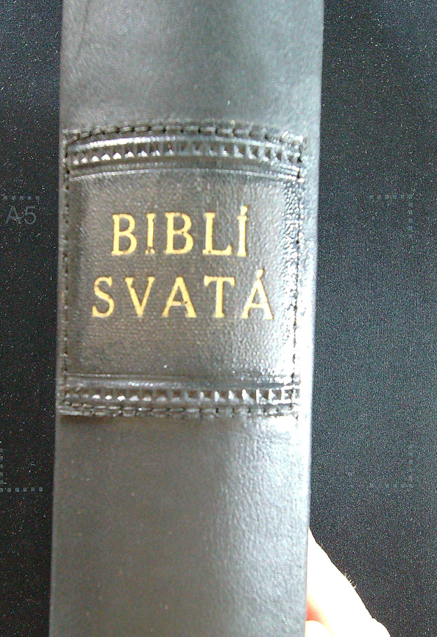 Biblí Svatá - Aneb všecka svatá písma Starého i Nového zákona - Obrázek 3