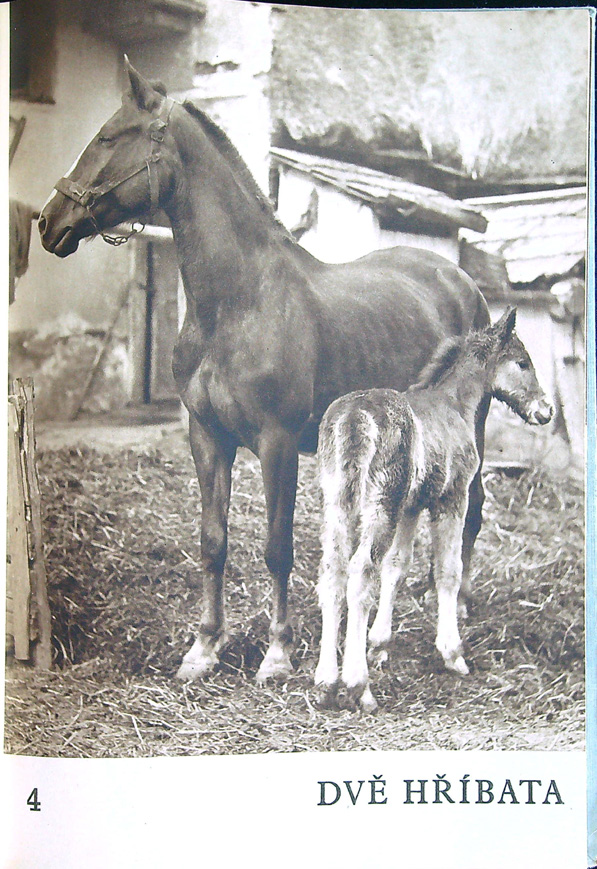 František Hrubín - Dobrý den, sluníčko ! - Obrázek 2