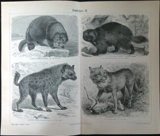 Černobílé litografie - Raubtiere II.