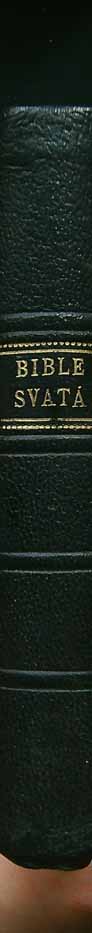 Bible Svatá - Obrázek 2