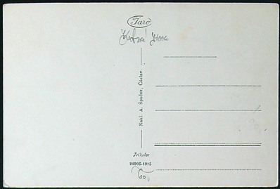 Pohlednice - Okres Kutná Hora - Čáslav - Pomník Jana Žižky z Trocnova - Obrázek 2