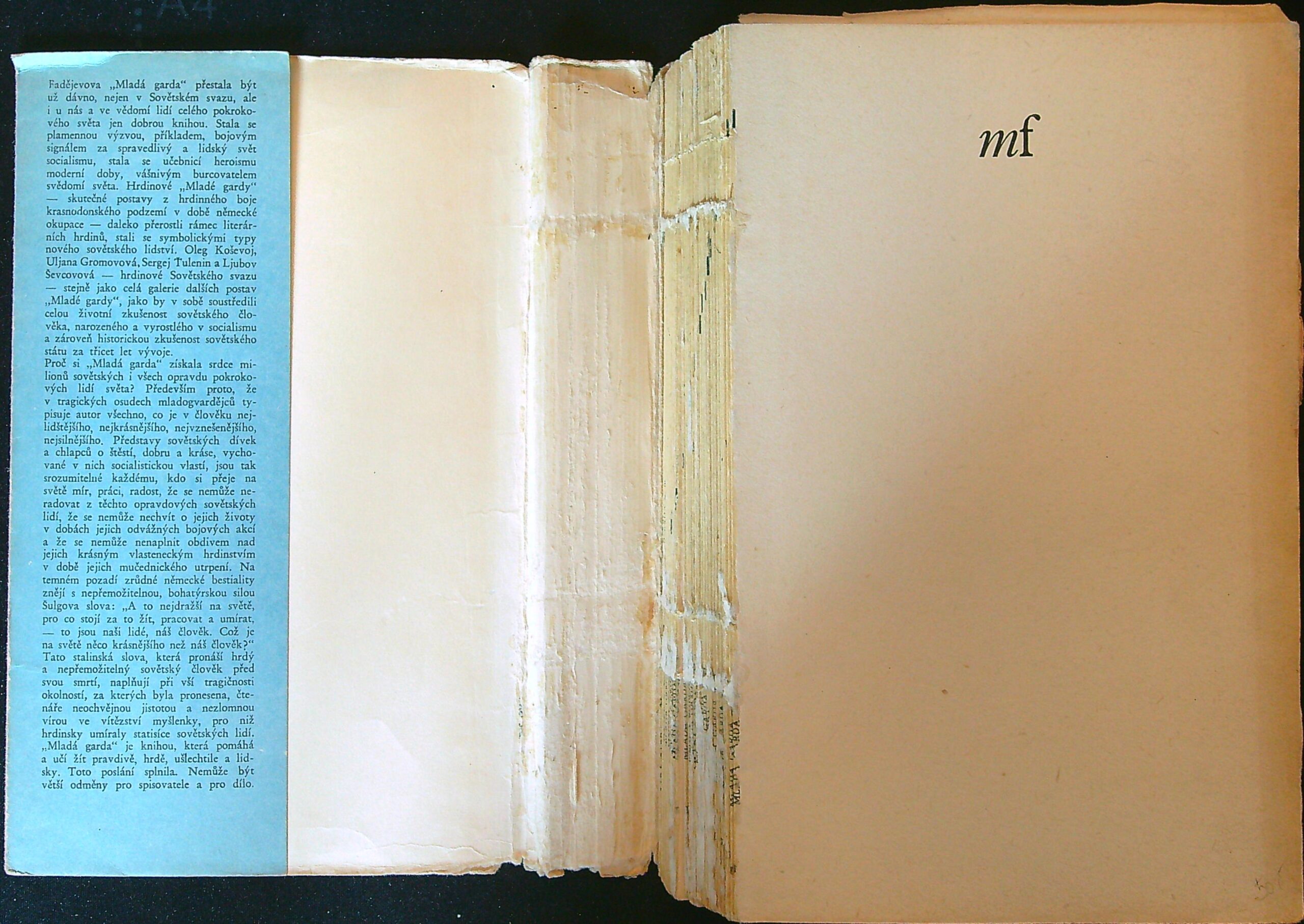 Alexander Fadějev - Mladá Garda - Obrázek 2