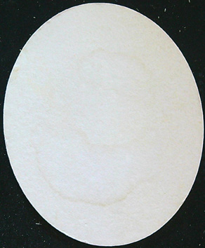 Pivní tácek - 1874 - PIVOVAR HANUŠOVICE - HOLBA - PRÉMIUM - Jednostranný - Obrázek 2