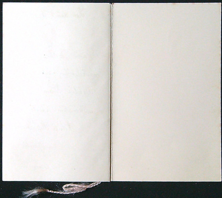 Starožitné přání - Dvoulist - Tlačené - Rok 1918 - Srdečné blahopřání k sňatku - Obrázek 4