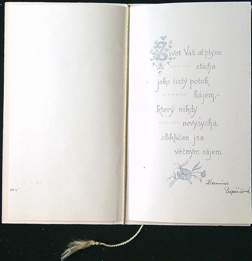 Starožitné přání - Dvoulist + přání vložené uvnitř - Tlačené - Srdečné přání k sňatku - Obrázek 3