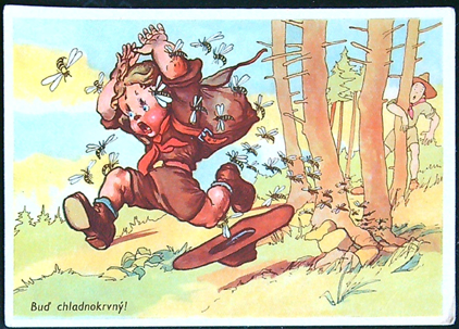 Junák, Skaut, Tramp - Pohlednice - Salač - Buď chladnokrvný!
