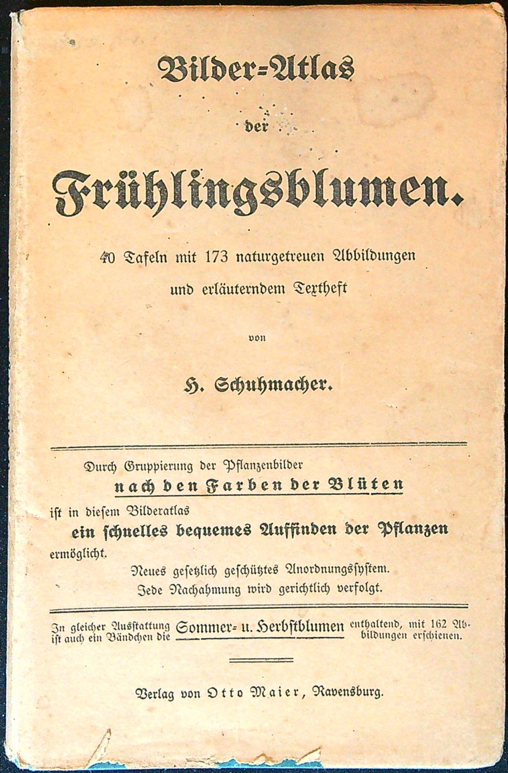 Bilder-Atlas der Frühlingsblumen 40 Tafeln mit 173 naturgetreuen Abbildungen und erläuterndem Textheft Don H. Schuhmacher. - Obrázkový atlas jarních květin