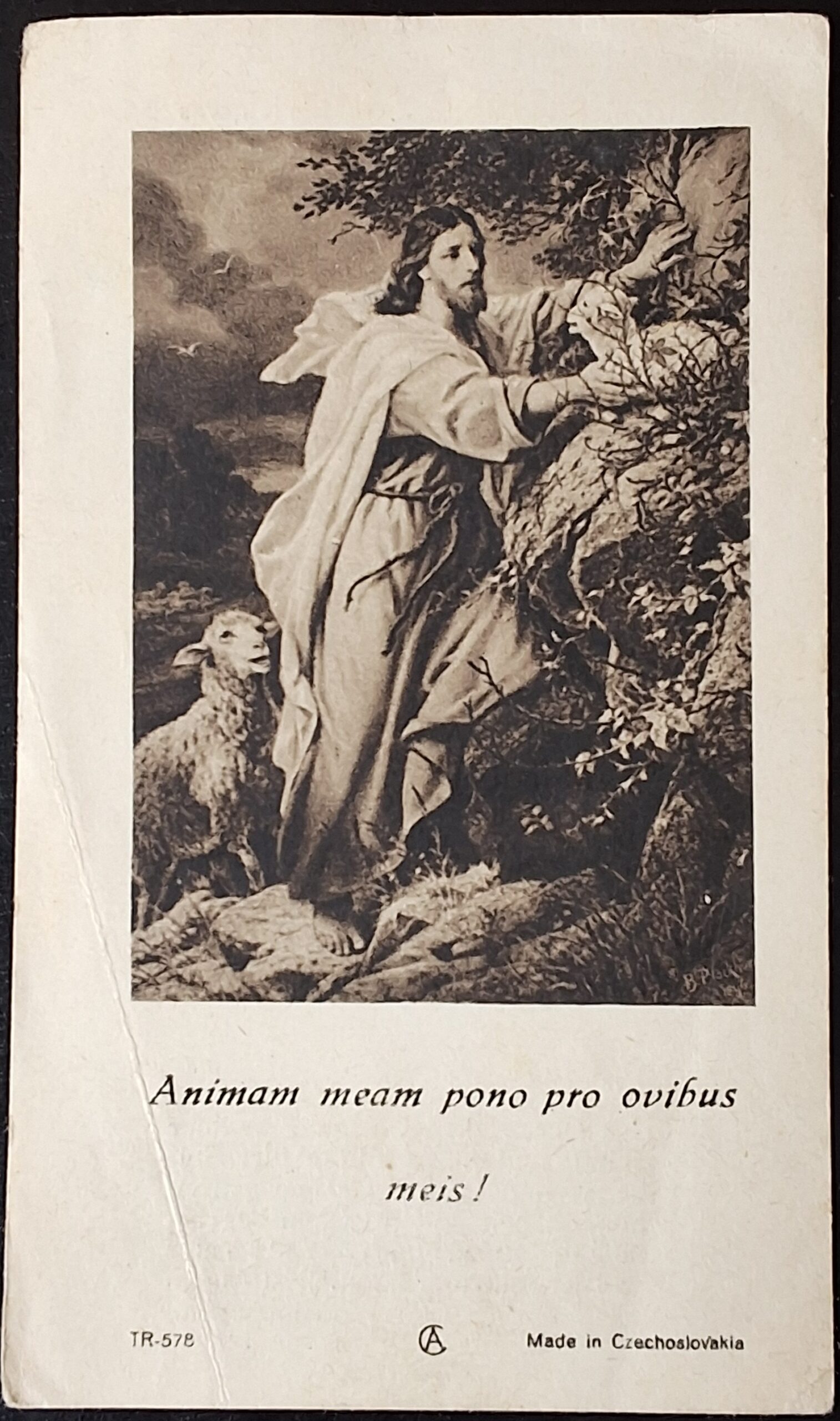 Svatý obrázek - ANIMAM MEAM PONO PRO OVIBUS MEIS !