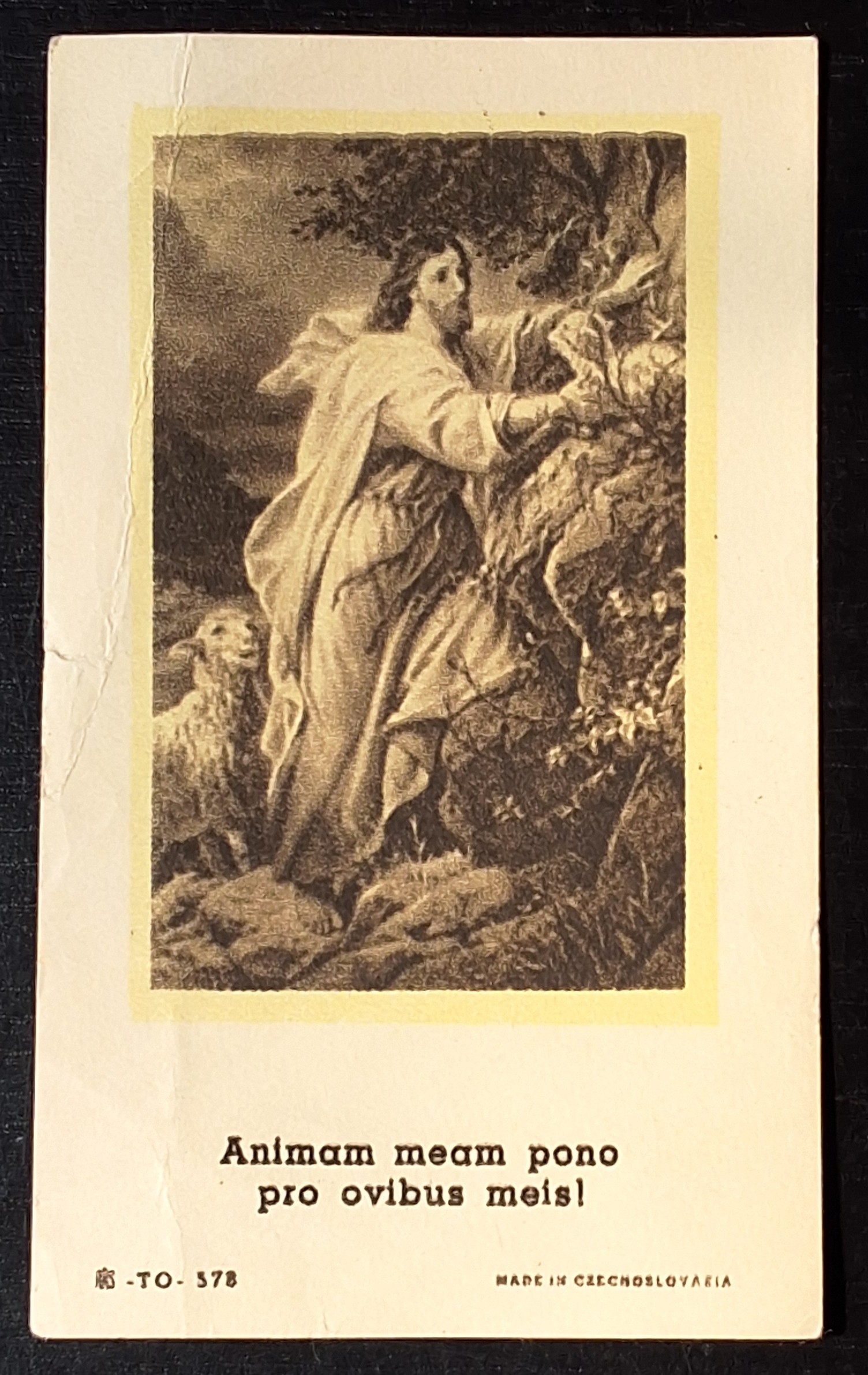 Svatý obrázek - ANIMAM MEAM PONO ...