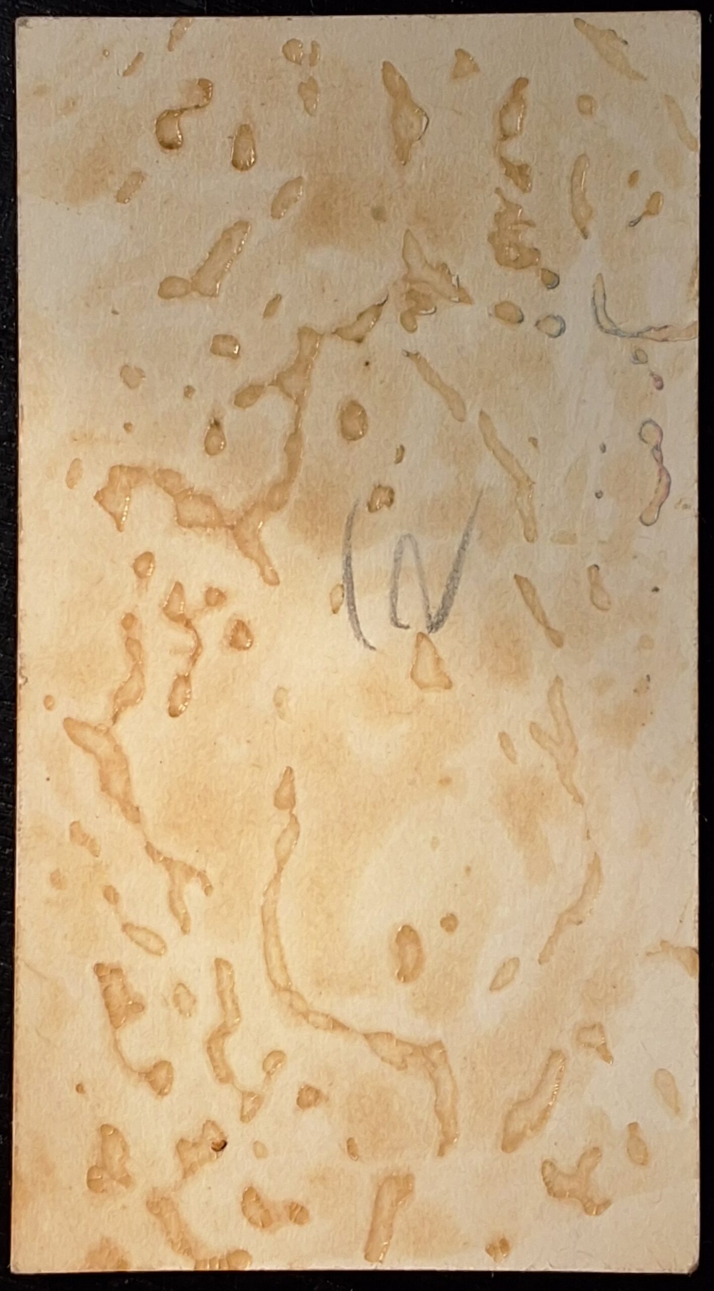 Svatý obrázek - ÁRPÁDHÁZI BOLDOG MARGIT - Obrázek 2