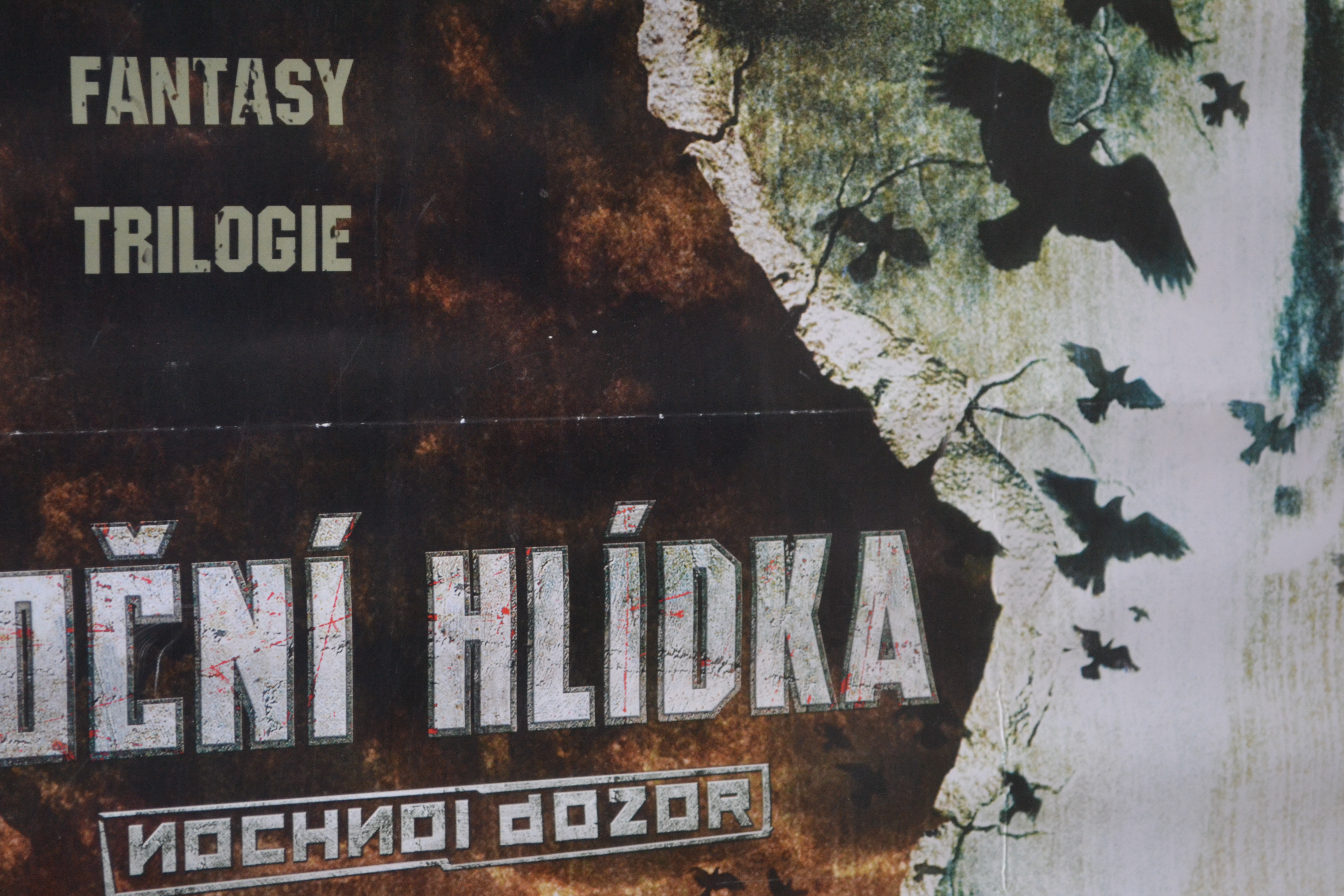 Filmový plakát - Noční hlídka - Obrázek 3