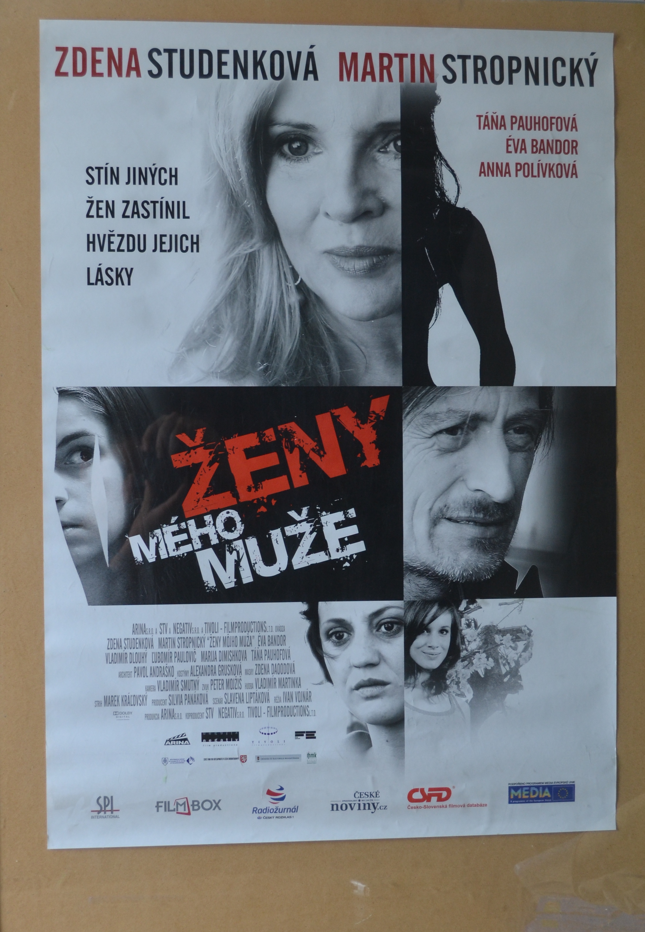 Filmový plakát - Ženy mého muže