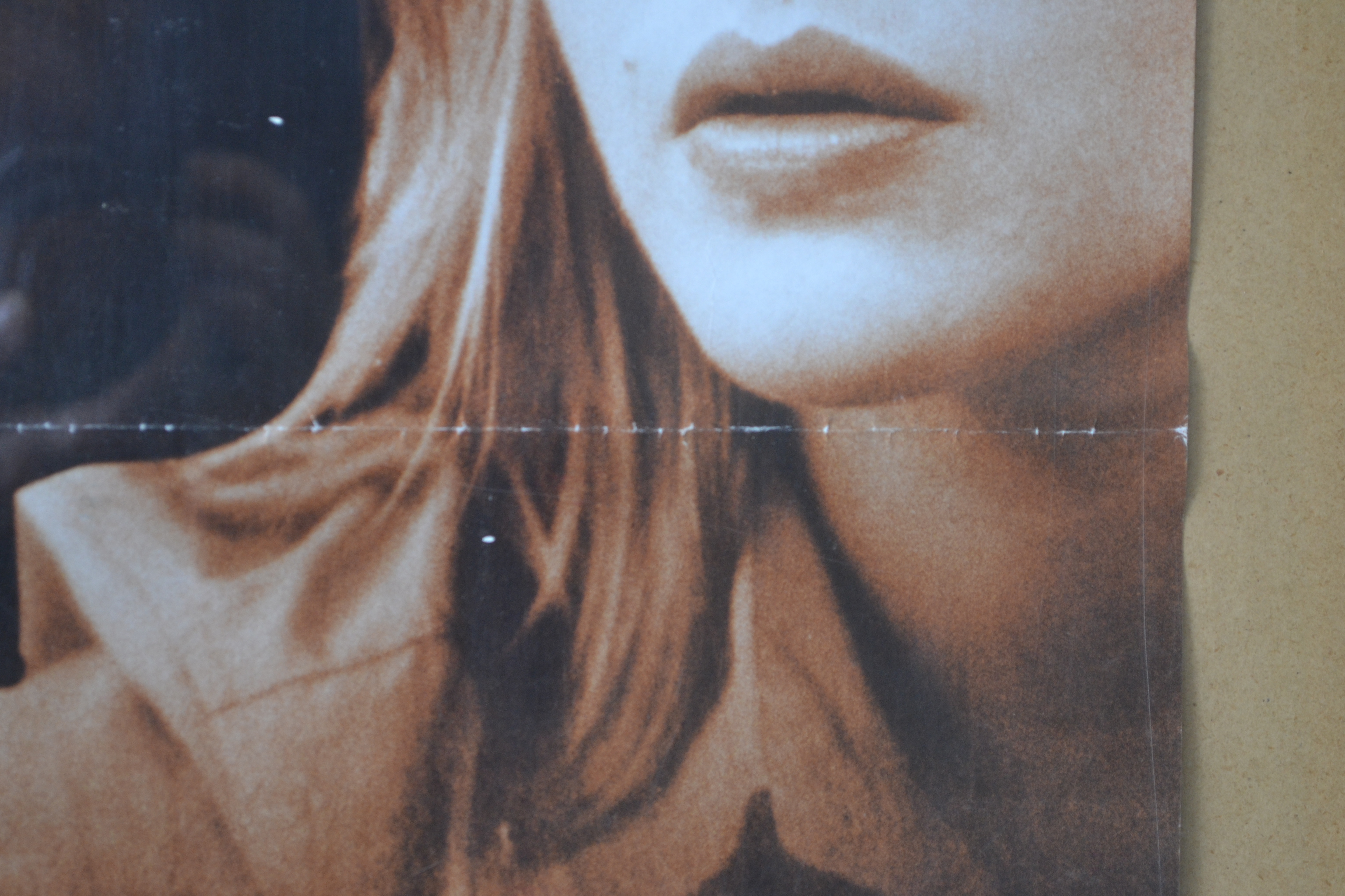 Filmový plakát - Život Davida Galea - Obrázek 2