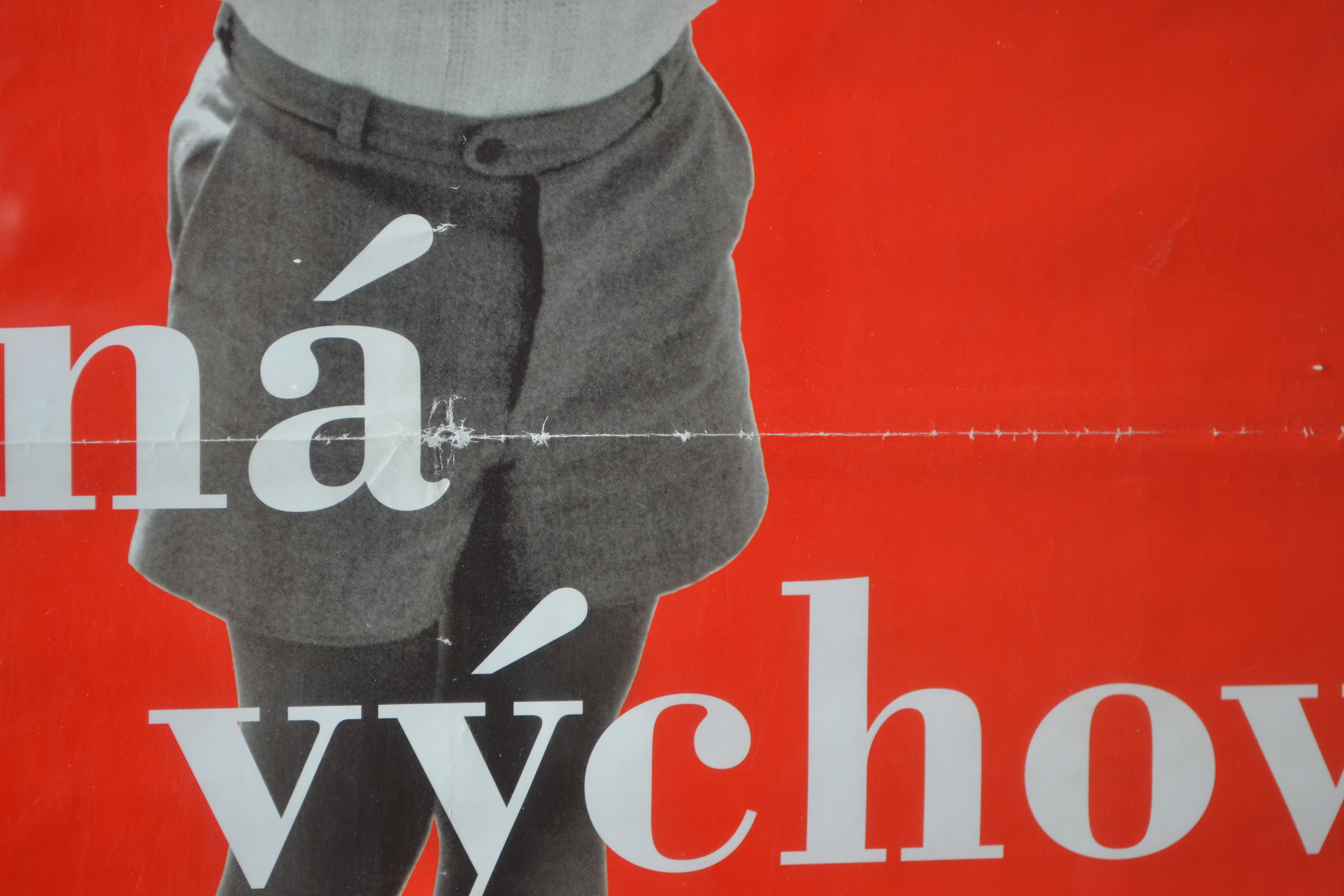 Filmový plakát - Špatná výchova - Obrázek 2