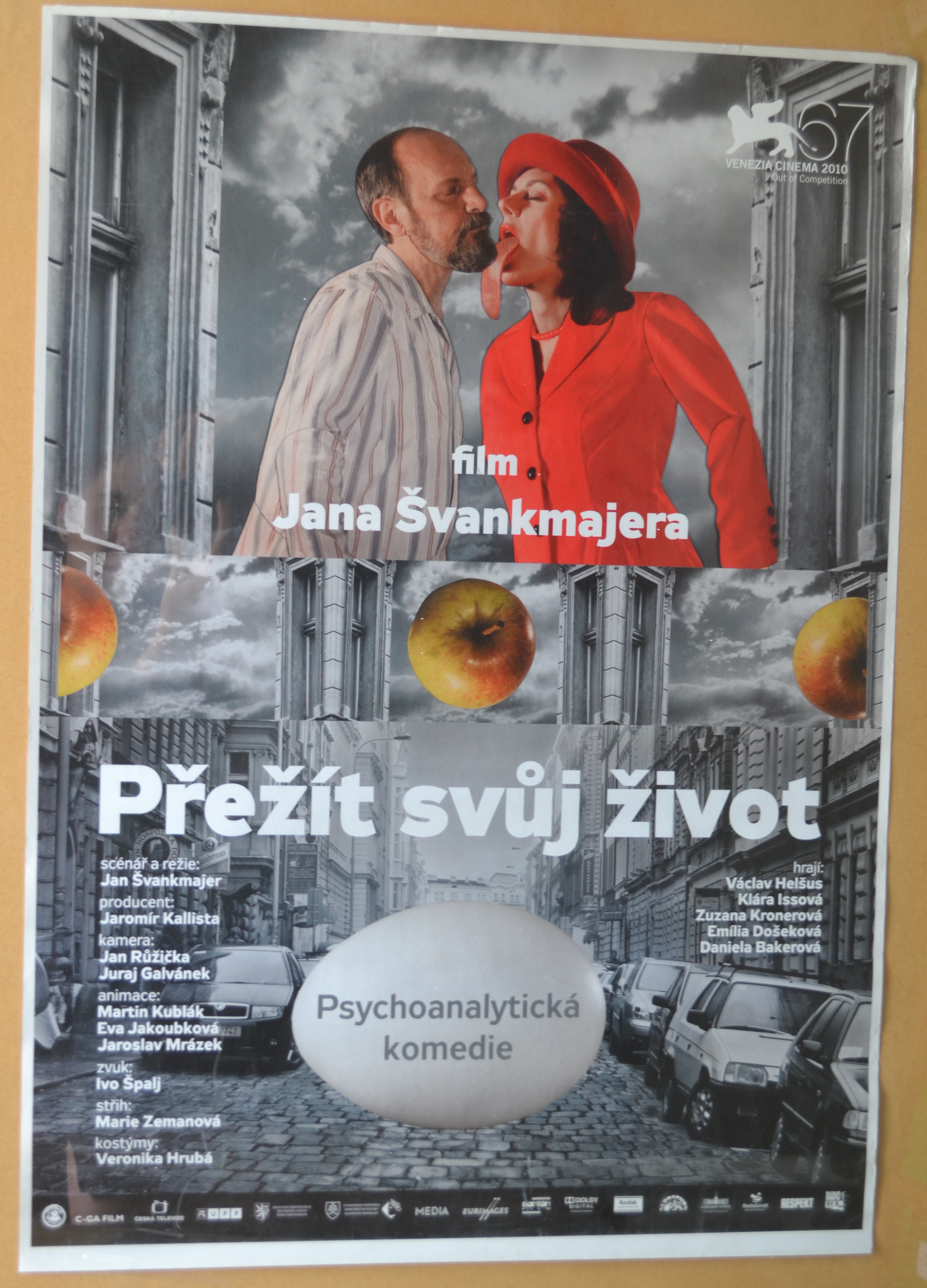 Filmový plakát - Přezít svůj život