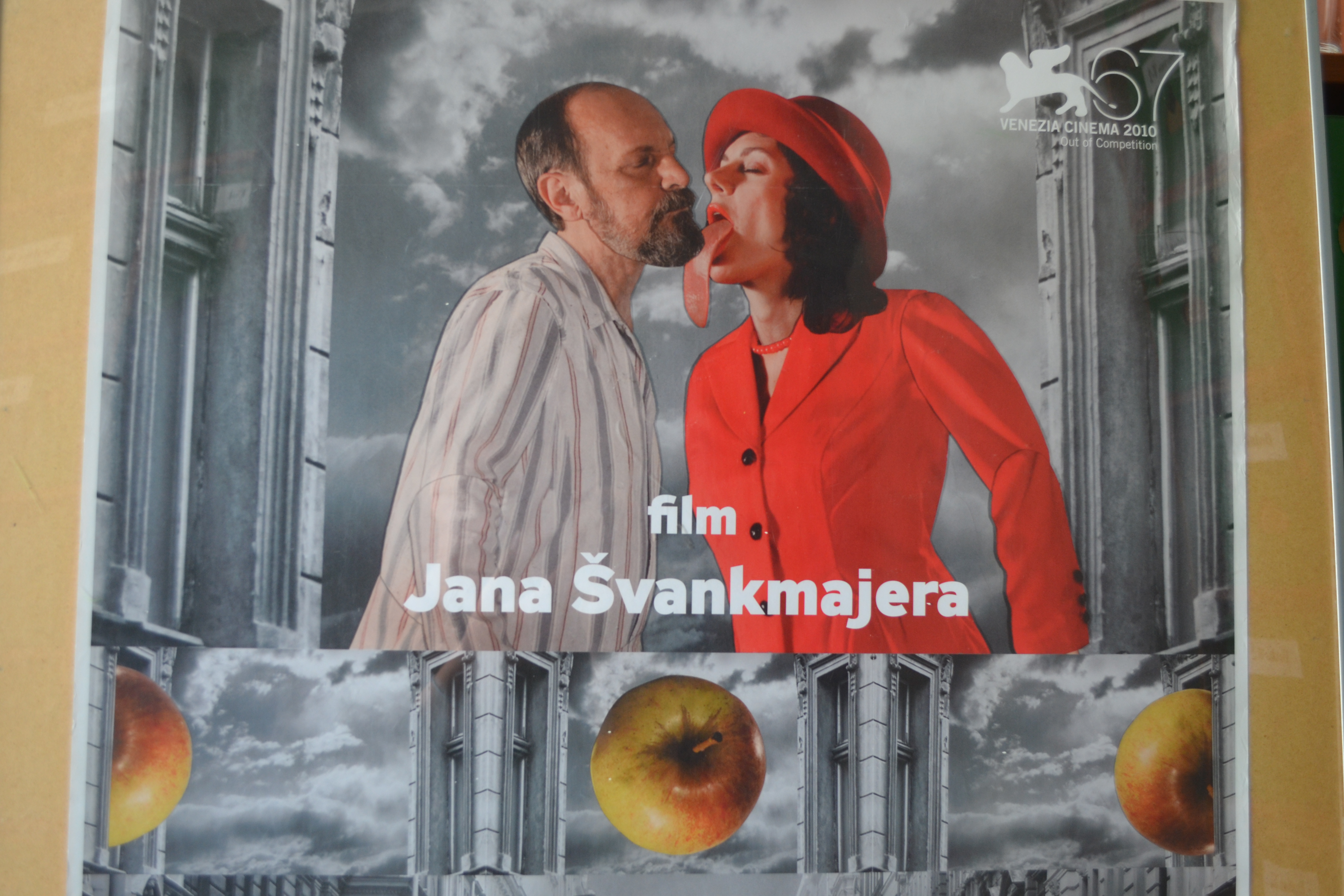 Filmový plakát - Přezít svůj život - Obrázek 2