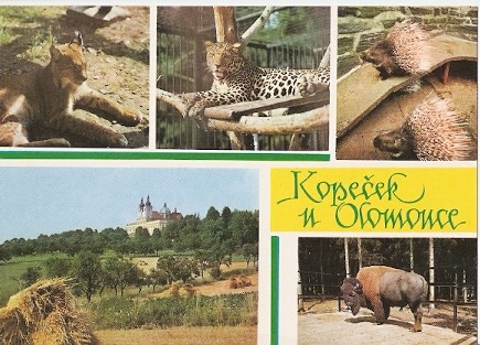 Pohlednice - Okres Olomouc - Kopeček u Olomouce - Okénkový (Velký formát)