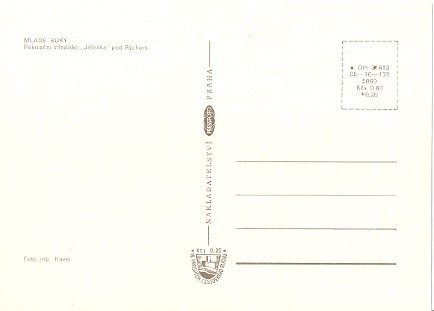 Pohlednice - Okres Trutnov - Mladé Buky - Rekreační středisko (Velký formát) - Obrázek 2