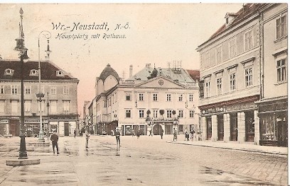 Pohlednice - Rakousko - Wr. Neustadt - Hauptplatz